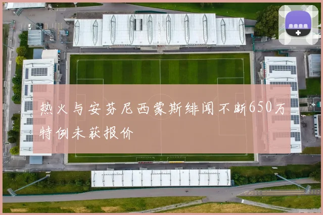 热火与安芬尼西蒙斯绯闻不断650万特例未获报价